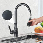 LumaGleam Gold Kitchen Faucet With Pull Out Sprayer
