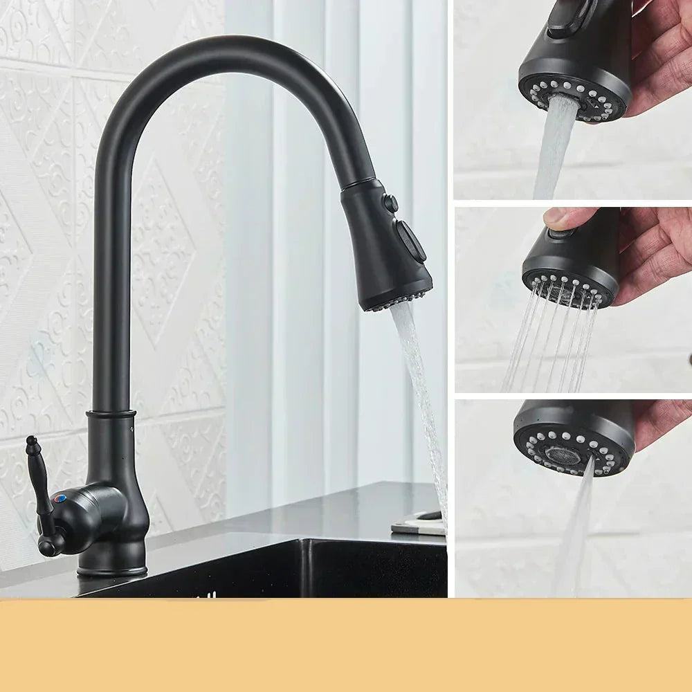 Norelle Antique Brass Swivel Kitchen Faucet With Black