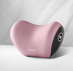 AutoEase Universal bilhodepute og korsryggstøttepute | Petprovac