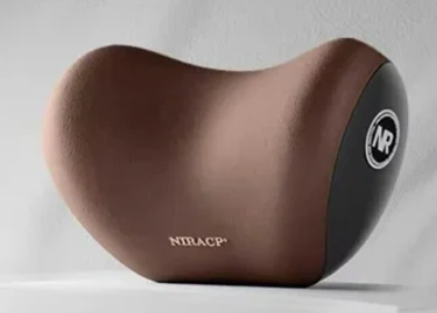 AutoEase Universal bilhodepute og korsryggstøttepute | Petprovac