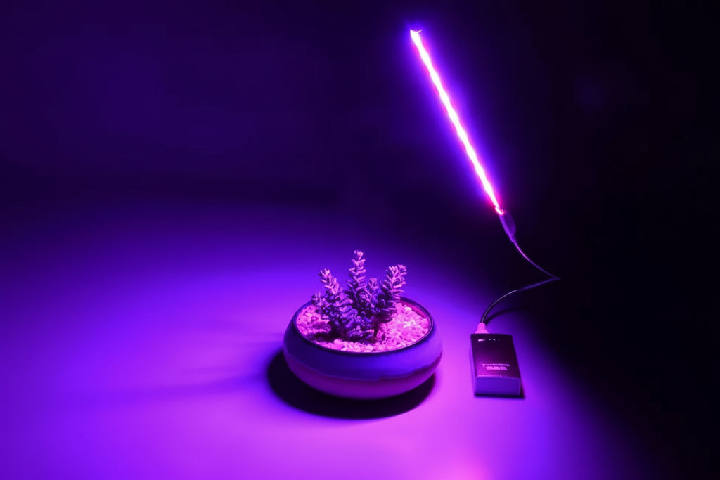 USB LED Powered Grow Light For Indoor Plants And Hydroponics