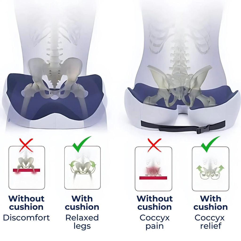 وسادة مقعد إيثرفليكس المريحة من رغوة الذاكرة لتخفيف ألم عظم الذنب وتحسين القامة