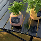 NexaGrow älykasvatusastia, jossa on 7 anturia sisäpuutarhanhoitoon