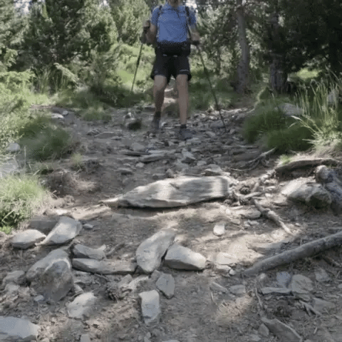 PeakGlide teleskopiske vandrestave med nem klemme