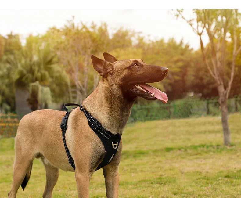 True Love Yansıtıcı Çekiş Önleyici Koşum Aktif Köpekler İçin