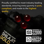 Premium Himalayan Shilajit Gummies for Energy, Focus & Recovery