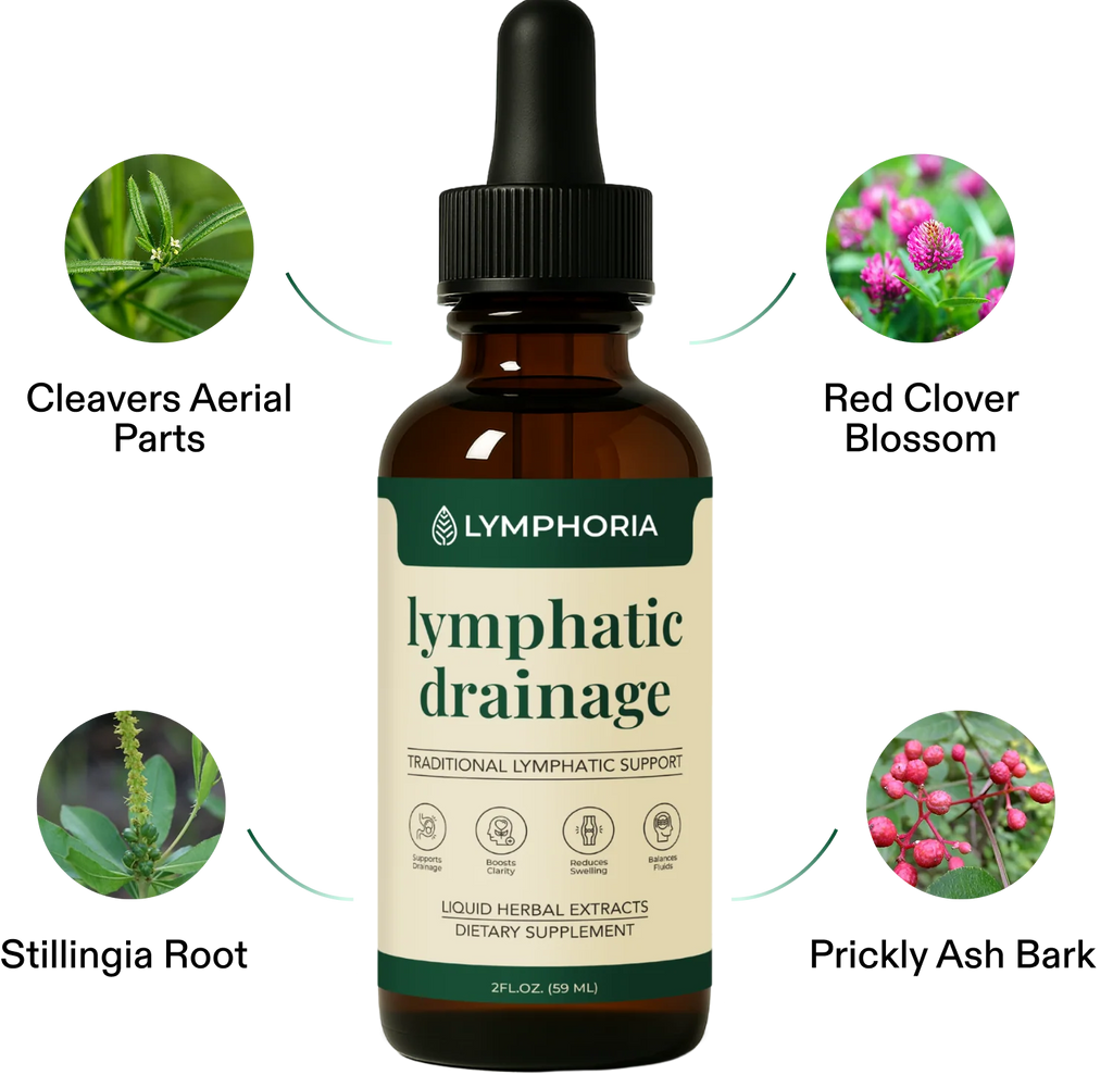 Lymphatic Drainage Drops for Daily Lymphatic Wellness Support