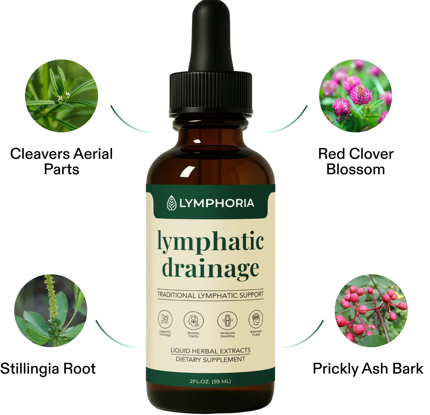 Lymphatic Drainage Drops for Daily Lymphatic Wellness Support