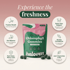 Gommes à la chlorophylle pour une haleine fraîche, une sensation de fraîcheur corporelle et le soutien digestif