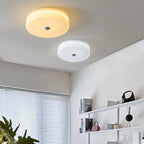 Valeron LED Ceiling Light Fixture Vintage Art Deco Style