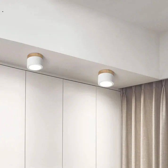 Lunara Nordisk LED Loftlampe til Gange og Stuer