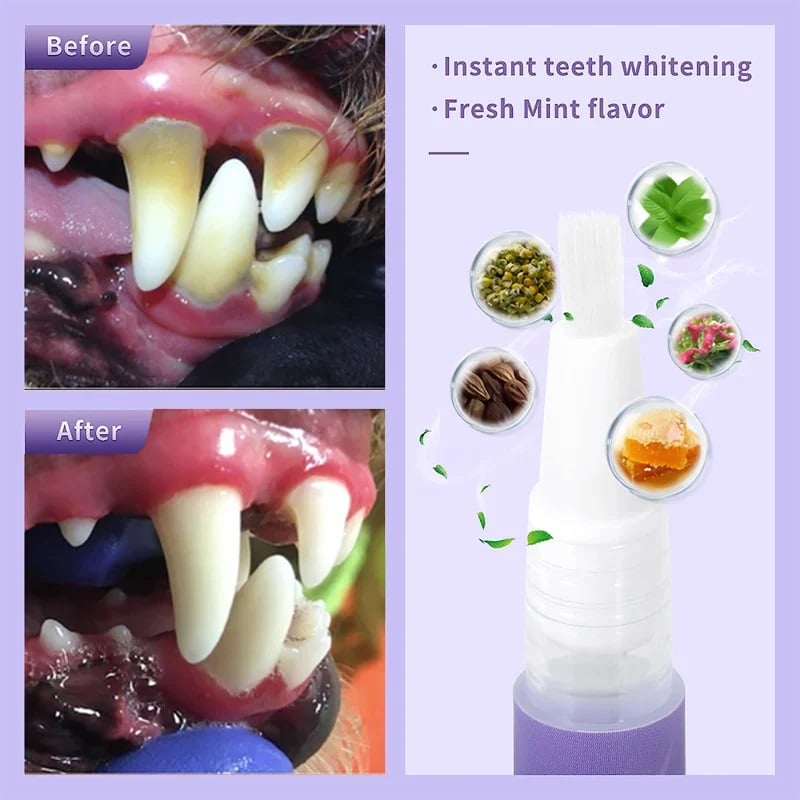 Silvone | מזהה חיות מחמד | Petprovac