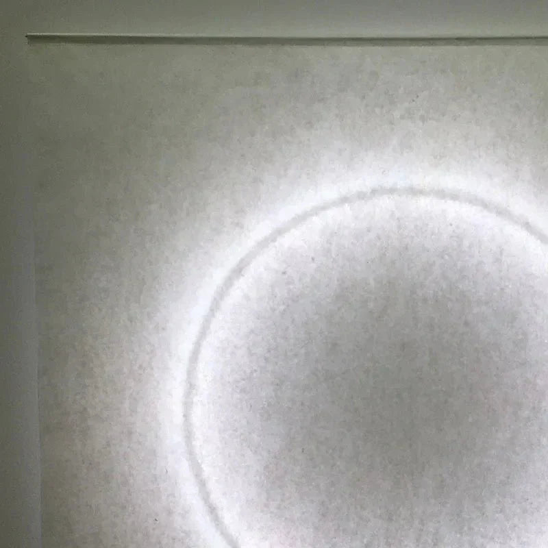 ZyraGlow リモコン付き多彩な壁掛け灯（どの部屋や廊下にも）