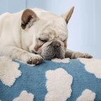 AquaRest • Waterproof Dog Bed for Indoor & Outdoor Comfort - Dog Bed