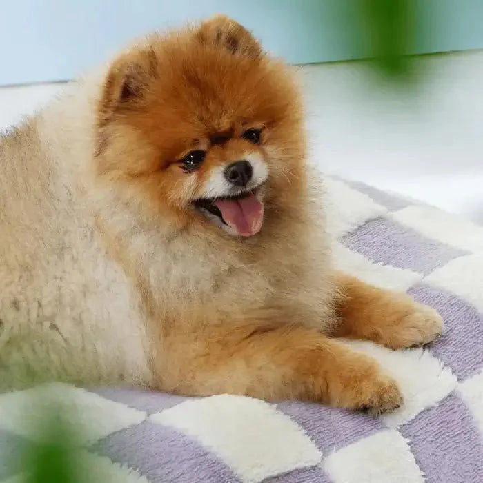 AquaRest • Waterproof Dog Bed for Indoor & Outdoor Comfort - Dog Bed
