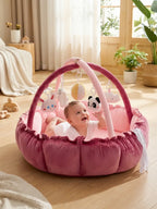 2-in-1 Play Mat and Sensory Arch – Floor Gym for Baby's First Year