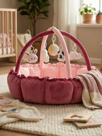 2-in-1 Play Mat and Sensory Arch – Floor Gym for Baby's First Year