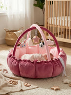 2-in-1 Play Mat and Sensory Arch – Floor Gym for Baby's First Year