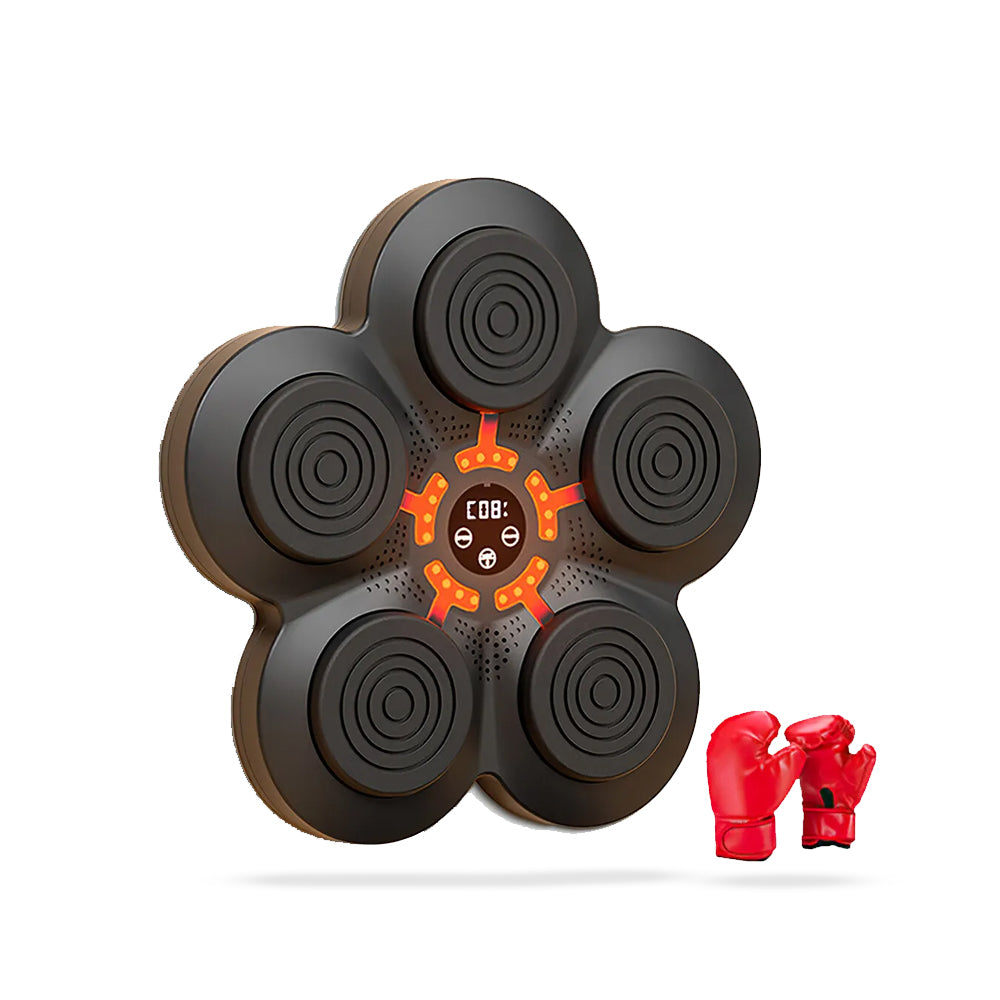 NovaStrike væg bokse system med musik og handsker