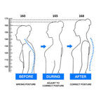Ceinture de posture réglable AlignFit | Petprovac