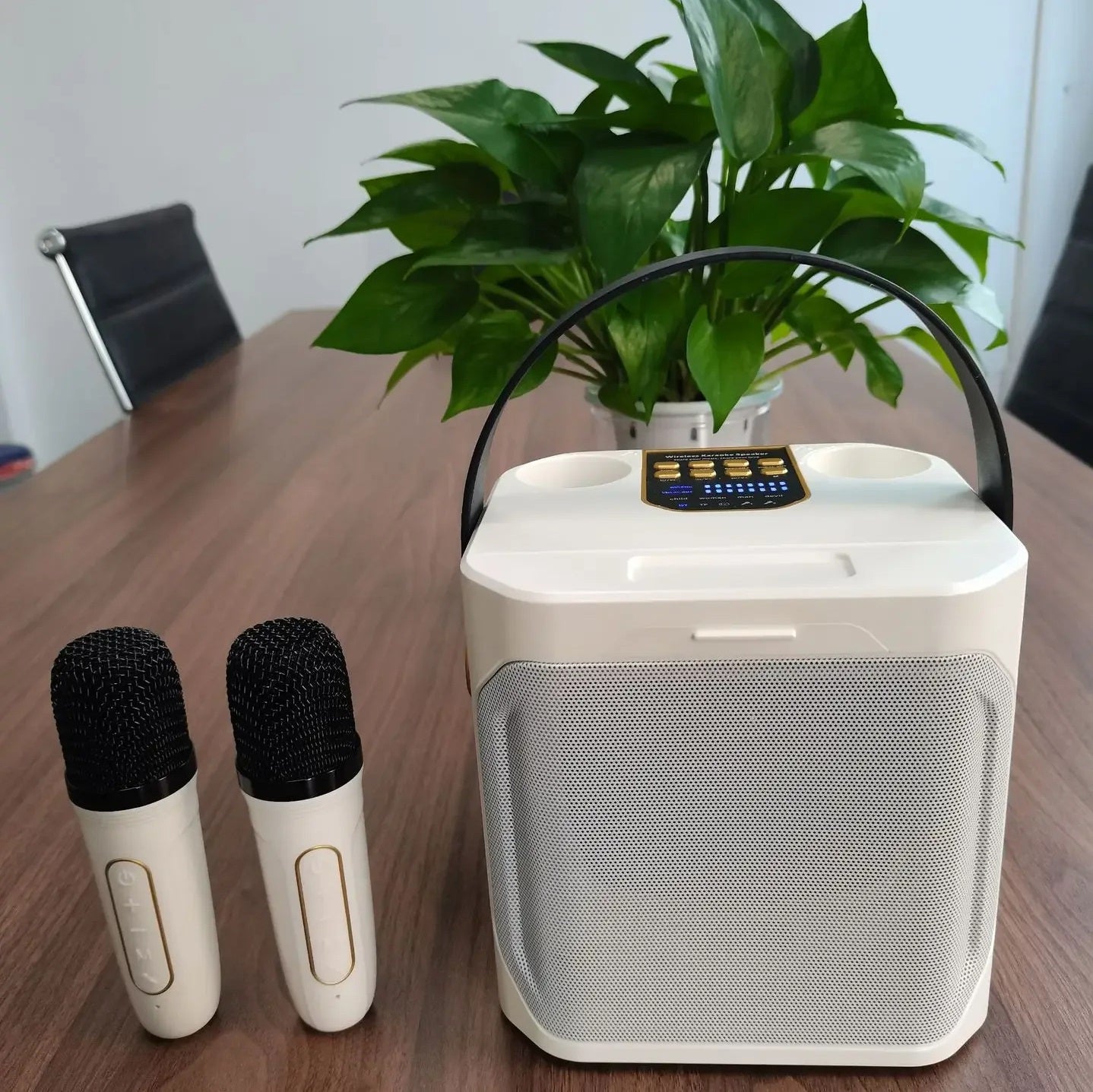 Przenośny głośnik karaoke z Bluetooth, zasilany akumulatorem, zapewnia bogate brzmienie