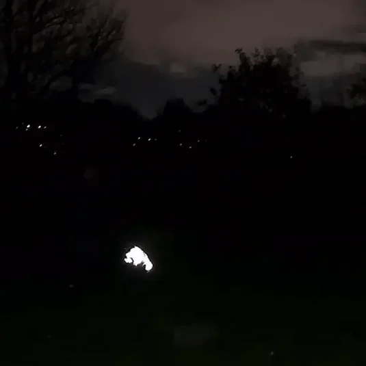 BarkDry vanntett reflekterende hundedekken med ben, UK
