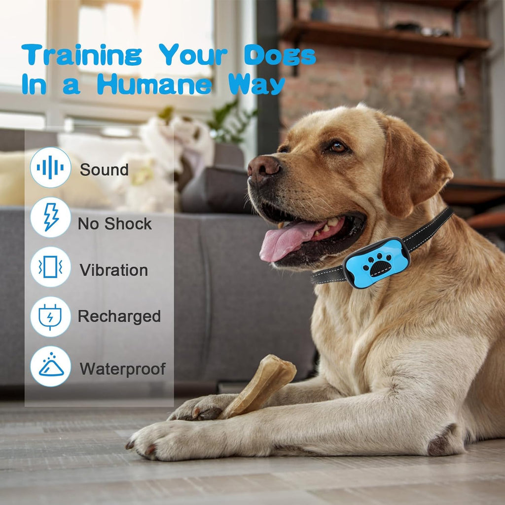 Intelligentes Hundehalsband mit sanfter Trainingshilfe für Tierbesitzer