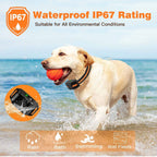 HydraPaw Pro vanntett fjernstyrt hundetreningshalsbånd utendørs