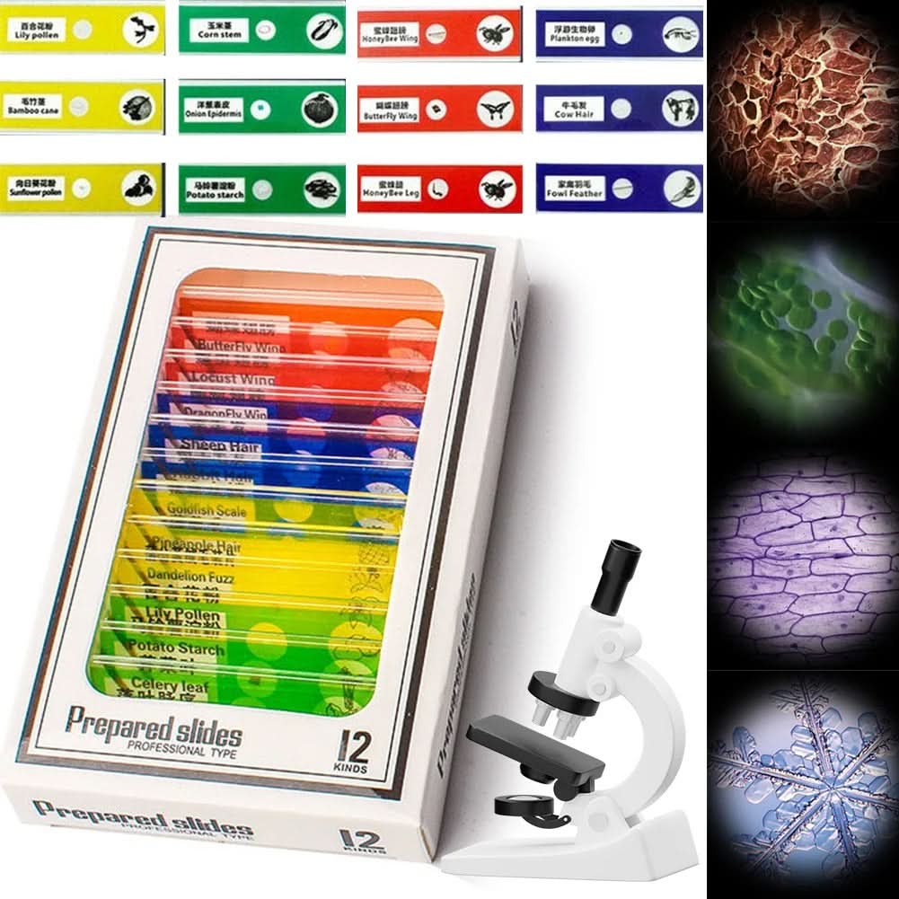 Portable Microscope for Young Explorers, Discover Hidden Details On Every Walk With A Pocket Companion