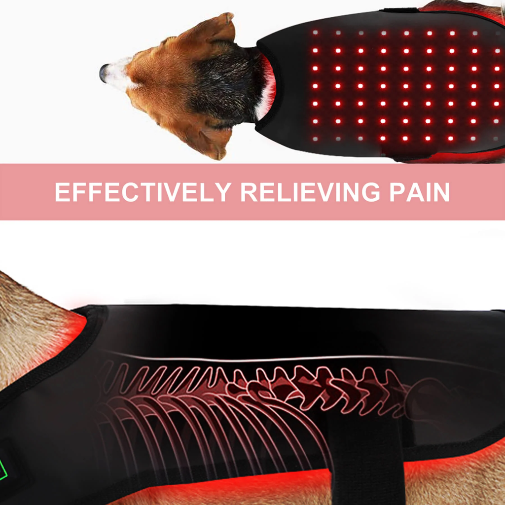 Pet Infrared Light Therapy Coat For Dogs And Cats Pain Relief At Home