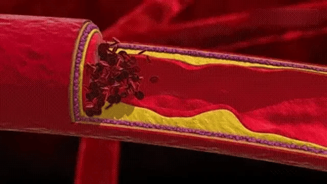 PulseNova bærbar SpO2-fingertip-oximeter med enkeltknapsaflæsning