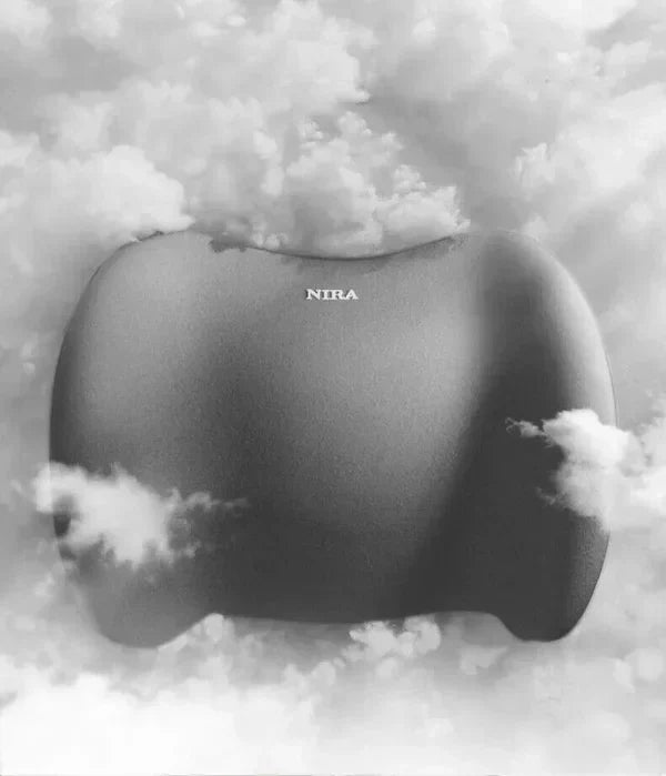 AutoEase Universal bilhodepute og korsryggstøttepute | Petprovac