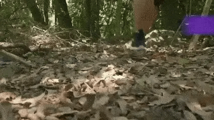 LumaCharge Huippu 50000mAh Aurinkoinen Vedenpitävä Virtapankki