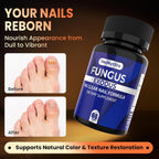 Nail & Foot Wellness Probiotic Capsules – Internal Support for Healthier, Stronger Nails