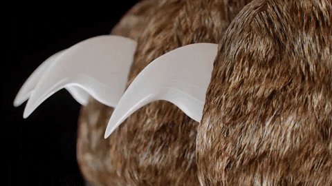 مقص أظافر باوغارد برو مع حساسات ذكية سريعة