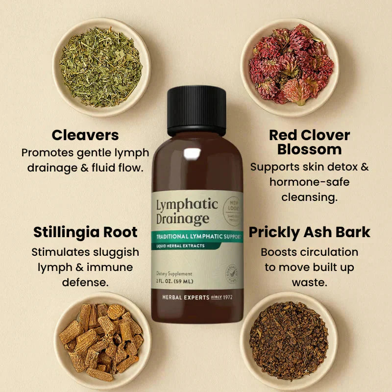 Lymphatic Drainage Drops for Daily Lymphatic Wellness Support
