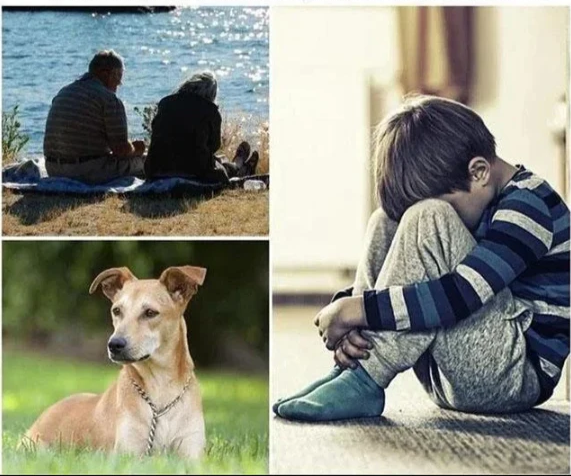 AeroTrace Nano køretøjs-GPS-tracker med realtidslokalisering og magnetisk montering