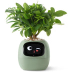 Ivy Gesture Activated Smart Plant Pot Companion With Alexa