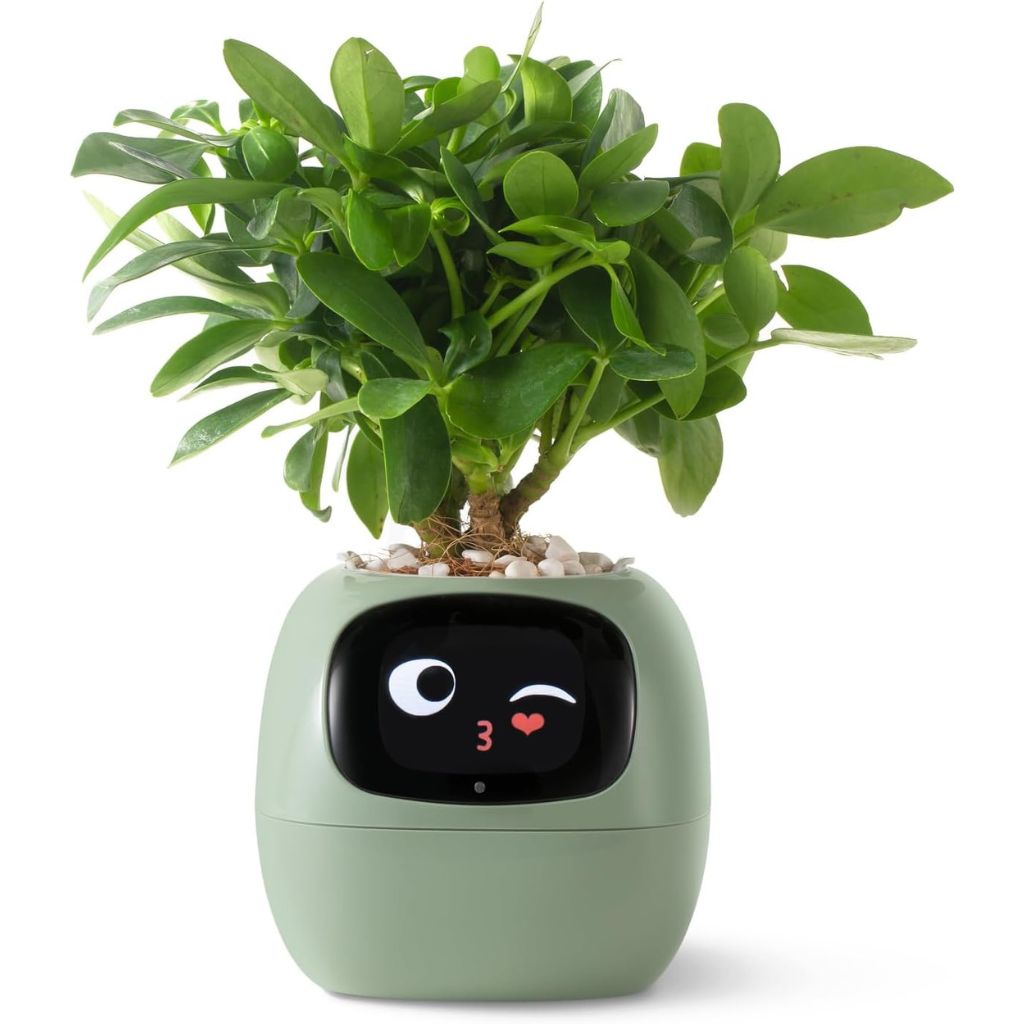 Ivy Gesture Activated Smart Plant Pot Companion With Alexa