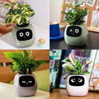 Ivy Gesture Activated Smart Plant Pot Companion With Alexa
