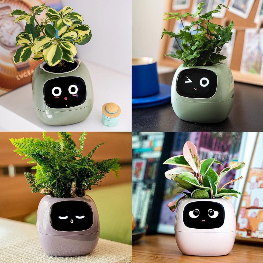 Ivy Gesture Activated Smart Plant Pot Companion With Alexa