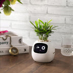 VerduraPulse Smart Plante 70 Animasjoner Alexa Tilkoblet