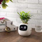 Ivy Gesture Activated Smart Plant Pot Companion With Alexa