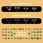 LeafNova Smart Plante med 70 animationer og Alexa-forbindelse