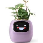 Ivy Gesture Activated Smart Plant Pot Companion With Alexa