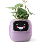 VerduraPulse Smart Plante 70 Animasjoner Alexa Tilkoblet