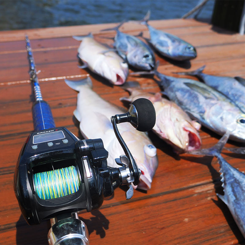 بكرات صيد كهربائية كبيرة من بيتبروفاك كراكن، بكرة صيد موصى بها من هايكو