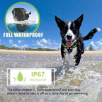 Guler NovaPaw pentru lătrat cu control inteligent al șocurilor reîncărcabil