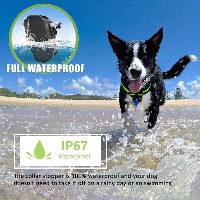 Guler NovaPaw pentru lătrat cu control inteligent al șocurilor reîncărcabil