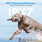 AstraTrail Pro Zdalna Obroża dla Psa IPX7 Wodoodporna Treningowa